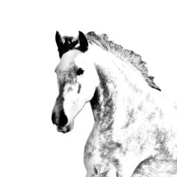 Andalusian - Wooden Stand For Candles/Pens With The Image Of A Horse New Collection - thumbnail 2