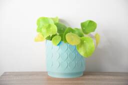 "Heart Planter With Drainage & Saucer in Cotton Candy Blue, Cute 3D-Printed Plant Pot, Small To Large Sizes 4"" 5"" 6"" 7"" 8"