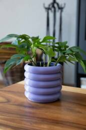 Coiled Planter - Modern Home Design Drainage Optional - thumbnail 1