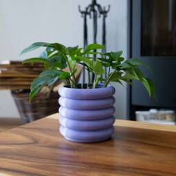 Coiled Planter - Modern Home Design Drainage Optional - thumbnail 4