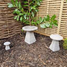 Weathered Grey Mini Bird Bath - thumbnail 2