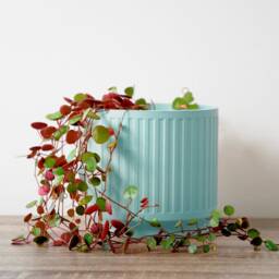 "Jetsetter Planter With Drainage & Saucer in Cotton Candy Blue, Unique 3D-Printed Plant Pot, Small To Large Sizes 4"" 5"" 6"" 7"" 8" - thumbnail 2