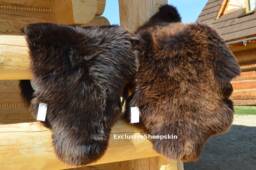 Genuine Sheepskin Rug 100% Natural Brown Soft Warm Wool Area Rugs Carpet Cheap Shag Rug, Schaffell, Hygge - thumbnail 1