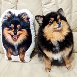 Custom Pet Photo Pillow, Personalised Stuffed Dog, Birthday Gift, Lover Gift - thumbnail 3