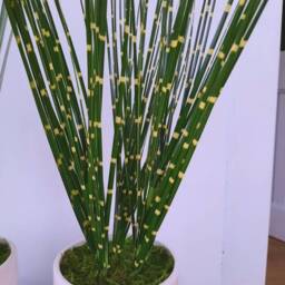 Faux Grass Plant in Ceramic Pot - thumbnail 3