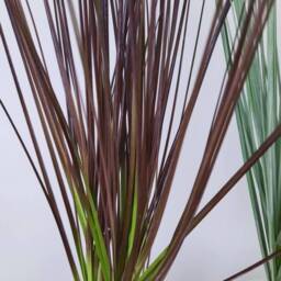Faux Grass Plant in Ceramic Pot - thumbnail 2
