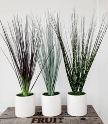 Faux Grass Plant in Ceramic Pot