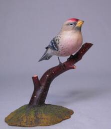 Hoary Redpoll Hand Carved Wooden Songbird