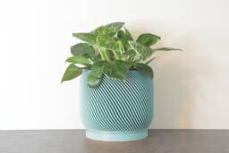 "Sierra Planter With Drainage & Saucer in Cotton Candy Blue, Unique 3D-Printed Plant Pot, Small To Large Sizes 4"" 5"" 6"" 7"" 8" - thumbnail 1