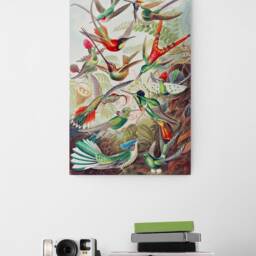 Hummingbirds - Vintage Wall Art Wrapped Framed Canvas Rolled Photo/Poster Print - thumbnail 2