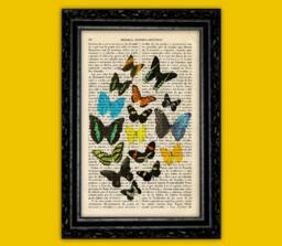 Butterflies Book Art Print Insect Butterfly Gift Poster Dorm Room Wall Decor Dictionary Animal - 23-N??5 - thumbnail 1