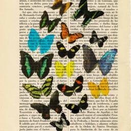 Butterflies Book Art Print Insect Butterfly Gift Poster Dorm Room Wall Decor Dictionary Animal - 23-N??5 - thumbnail 2