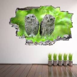 Owl Birds Wall Decal Sticker Mural Poster Print Art Home Kids Bedroom Decor Gl10 - thumbnail 2