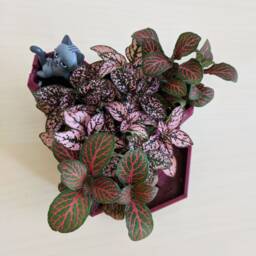 Tri-Tower Castle Planter For Small Succulents, Herb Garden Planter, Cactus Fairy - thumbnail 3