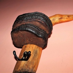 Natural Tree Fungus Rack, Mushroom Towel Key Holder, Dried Hook, Wall Hanging Home Decor - thumbnail 3