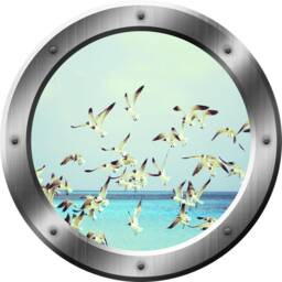 Seagulls Wall Decal Flock Of Seagull Stickers Porthole Peel & Stick - Vwaq Sp37 - thumbnail 2