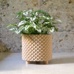 "Modern Wood Finish Planter ""Prismatic" - thumbnail 2
