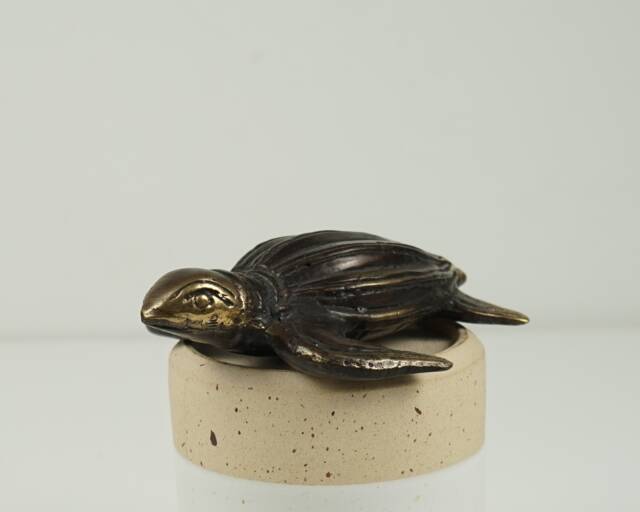 Turtle Art, 3.1 - image 1