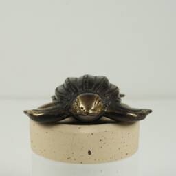 Turtle Art, 3.1 - thumbnail 3