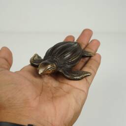 Turtle Art, 3.1 - thumbnail 4