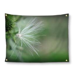 Thistle Seed Nature Photo Wall Tapestry, Green Bohemian Decor - thumbnail 2