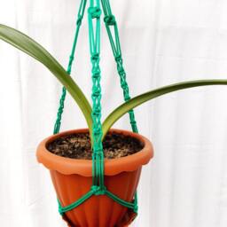 Macrame Plant Hanger 24 Inches 3mm - Green Hanging Planter Plant Holder Macrame Wall Hanging Planter Pattern Pot - thumbnail 2
