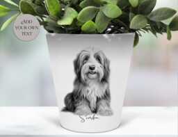 Personalised Bearded Collie Plant Pot - Dog Pen Makeup Brush Holder Succulent Planter Gift
