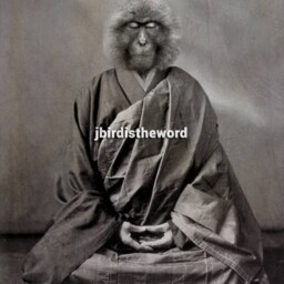 Yoga Buddha Art, Zen Wall Snow Monkey, Good Vibes Only, Buddhism Print, Studio Decor, Yogi Yogini, Yogism, New Age Spirituality - thumbnail 2