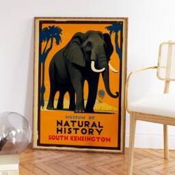Vintage Museum Of Natural History Poster, Elephant, Retro Print, Wall Art, Animal Art Gift, A1/A2/A3/A4 - thumbnail 3
