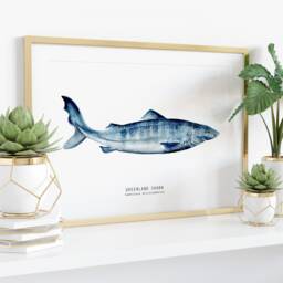 Greenland Shark Watercolor Art Print - Nursery Wall D??cor Bedroom Coastal Gift Living Room Somniosus Microcephalus - thumbnail 3