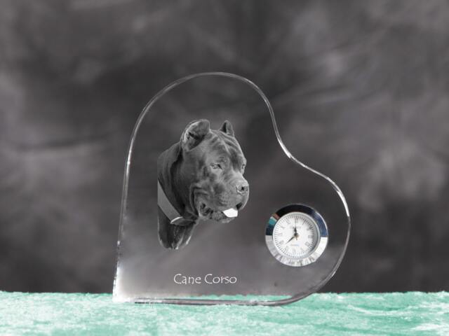 Cane Corso, Italian Mastiff - Crystal Clock in The Shape Of A Heart With Image Pure-Bred Dog - image 1