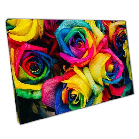 Vibrant Rainbow Roses Canvas Wall Art Ready To Hang Home Office Decor - image 1