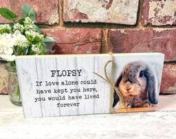 Rabbit Memorial Gift, Pet Frame, Gift, Plaque, Photo Remembrance Keepsake - thumbnail 1