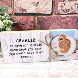 Rabbit Memorial Gift, Pet Frame, Gift, Plaque, Photo Remembrance Keepsake - thumbnail 3