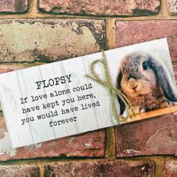 Rabbit Memorial Gift, Pet Frame, Gift, Plaque, Photo Remembrance Keepsake - thumbnail 2