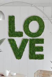 Moss Picture Letters - Individually Designed Words Iceland Moss, Home Decor, Moss Alphabet - thumbnail 1