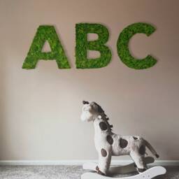 Moss Picture Letters - Individually Designed Words Iceland Moss, Home Decor, Moss Alphabet - thumbnail 3