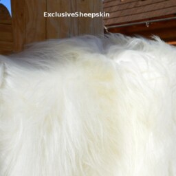 Icelandic White Genuine Sheepskin Lambskin Sheep Skin Rug Pelt Long Wool, Schaffell, Hygge - thumbnail 3