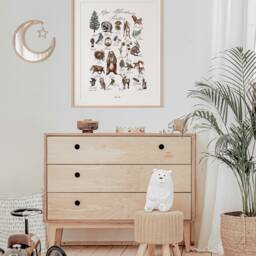 Abc Forest Alphabet Woodland Animals Child Montessori Learning Education School Decoration Baby Room Birth - thumbnail 3