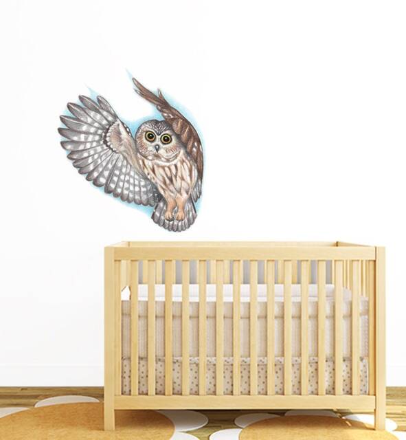 Soaring Owl Wall Sticker Decal - Kids Stickers, Animals Childrens Decals, Art, Room, Girl, Boy