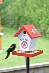 Boston Red Sox Bird Feeder - thumbnail 1