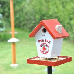 Boston Red Sox Bird Feeder - thumbnail 3