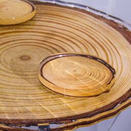 Spruce Log Acrylic Table - Graphic Directly Printed On 0.5 - thumbnail 4
