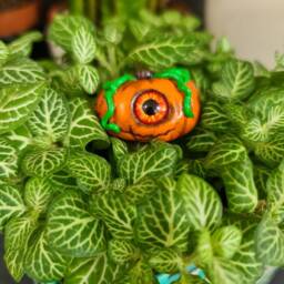 Creepy Cute Miniature Halloween Pumpkin, Glass Eye, Witches Kitchen - thumbnail 4