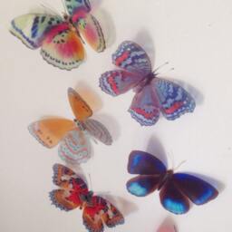 Tropical 3D Butterfly Wall Art Colorful Removable Decorations, Set Of 7 - thumbnail 2