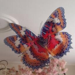 Tropical 3D Butterfly Wall Art Colorful Removable Decorations, Set Of 7 - thumbnail 3