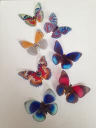 Tropical 3D Butterfly Wall Art Colorful Removable Decorations, Set Of 7 - thumbnail 1