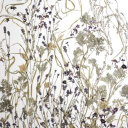 Floral Wall Art, Pressed Botanical Artwork, Lavenda Herbals Herbarium, Dried Flowers Wall Art Light Green Leaves - thumbnail 2