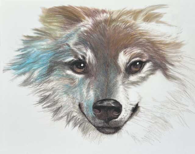 Watercolor Wolf Art Print, Woodland Animal, Rustic Decor - image 1