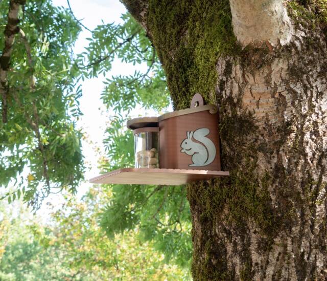 Decorative Squirrel Feeder - image 1